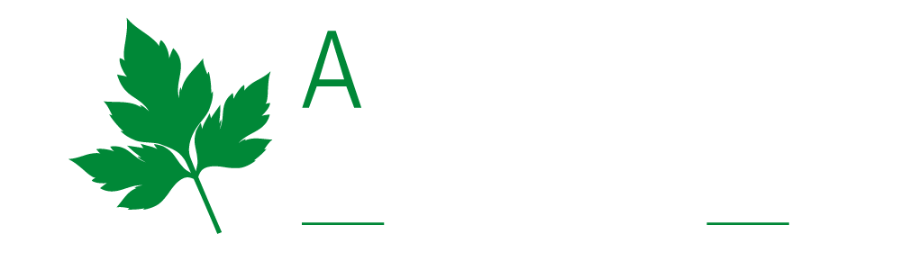 おかげさまで29周年　アシタバ頒布会