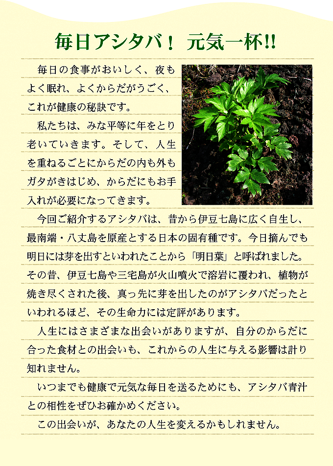 毎日アシタバ！元気一杯!!