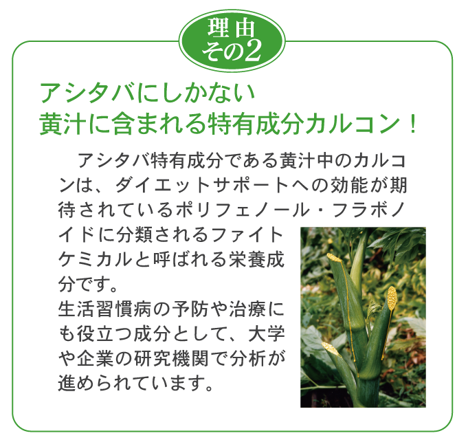 特有成分カルコン