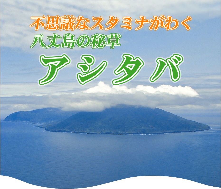 アシタバ 不思議なスタミナがわく八丈島の秘草