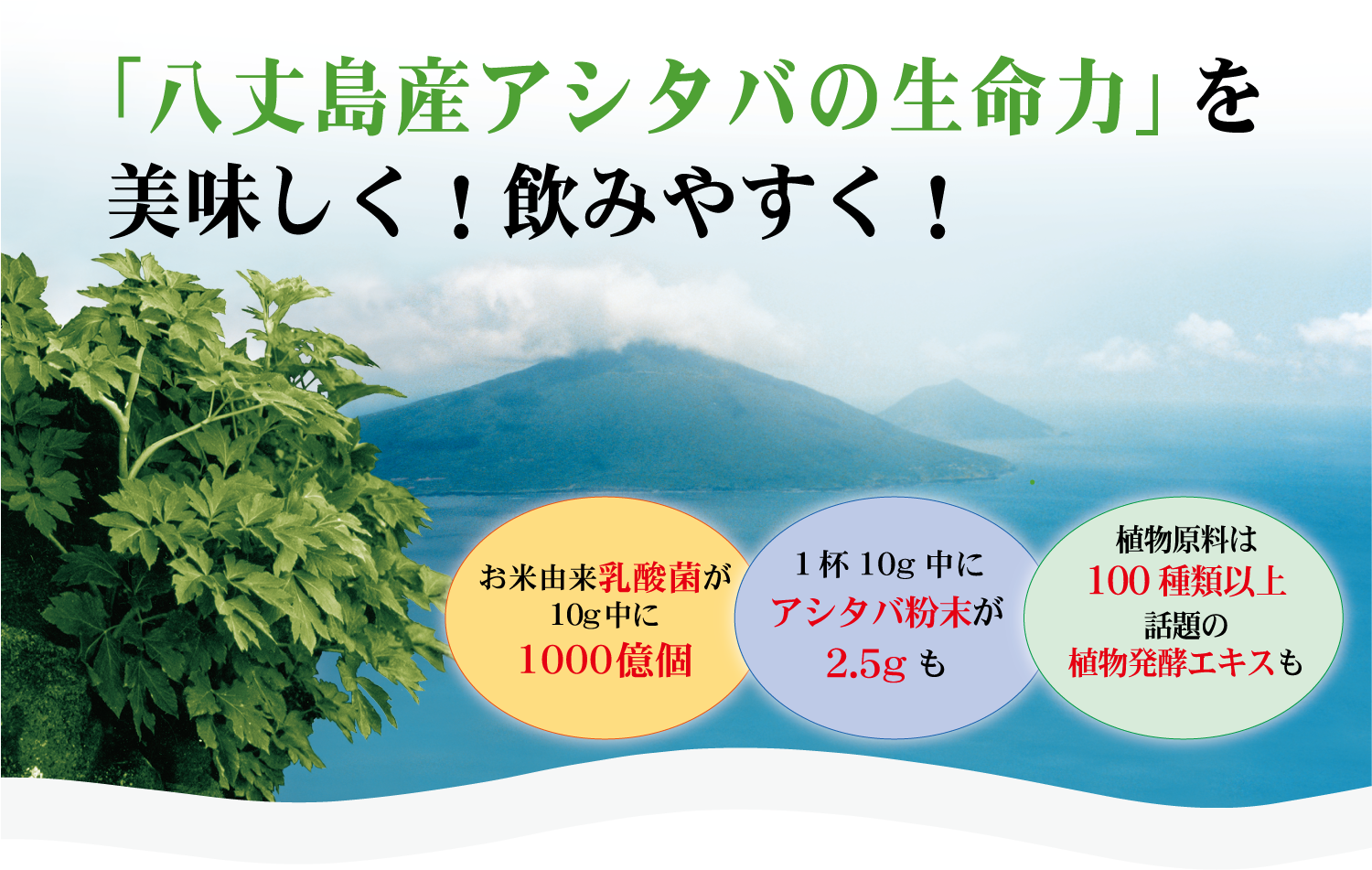 アシタバ頒布会 美味しい 飲みやすい アシタバグリーンスムージー